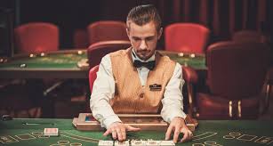 Casino Cat